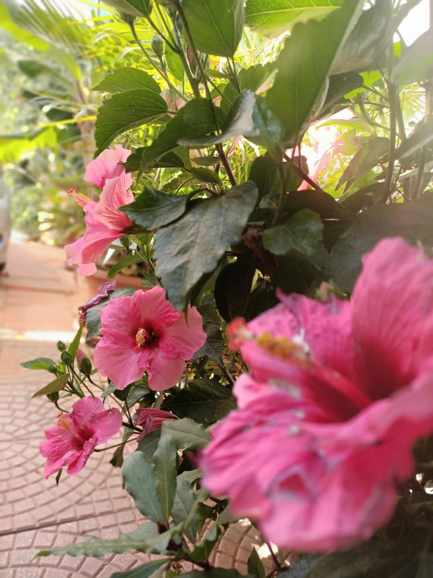 Hébergement de vacances Summer Loft *