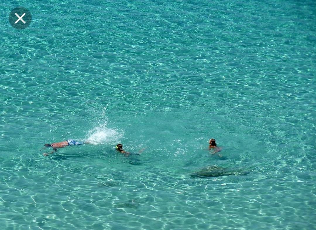 Summer Loft Sant'Andrea (Sardinia)
